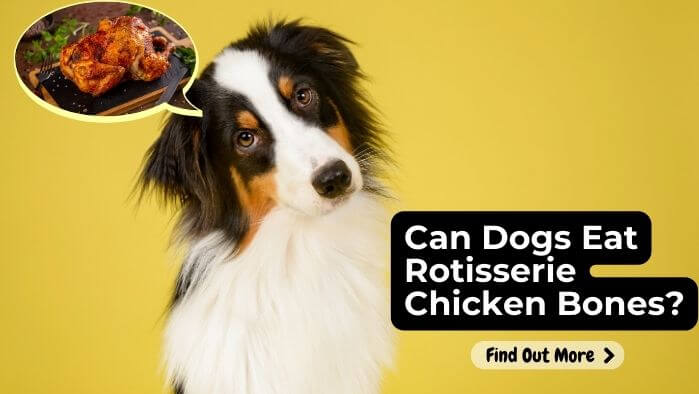 Can Dogs Eat Rotisserie Chicken Bones