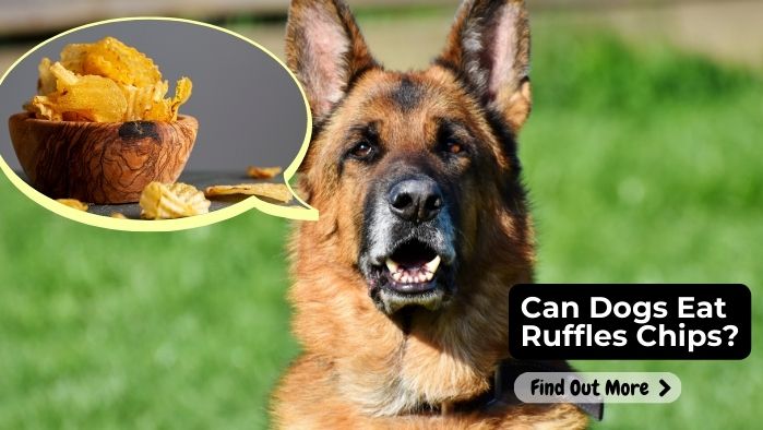 Can Dogs Eat Ruffles Chips