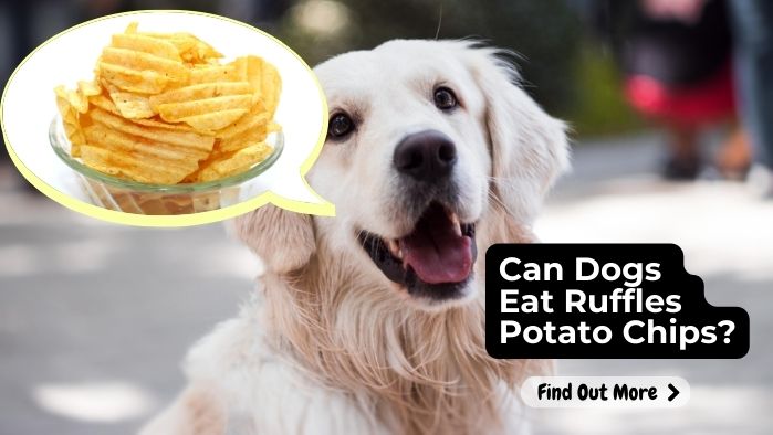 Can Dogs Eat Ruffles Potato Chips