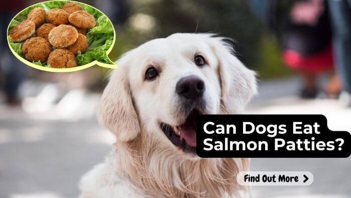 Can Dogs Eat Salmon Patties?