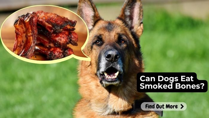 Can Dogs Eat Smoked Bones