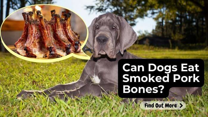 Can Dogs Eat Smoked Pork Bones