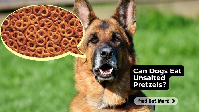 an Dogs Eat Unsalted Pretzels