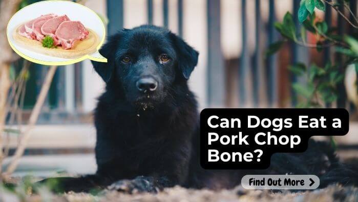 Can Dogs Eat a Pork Chop Bone