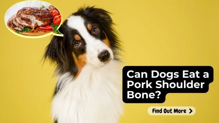 Can Dogs Eat a Pork Shoulder Bone