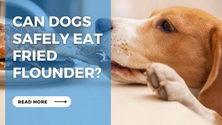 Can Dogs Safely Eat Fried Flounder