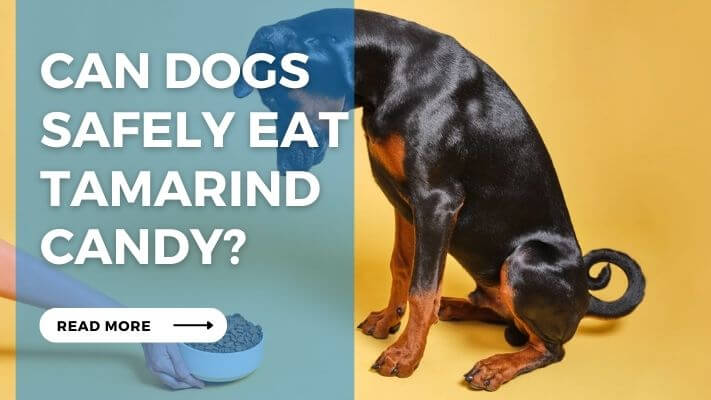 Can Dogs Safely Eat Tamarind Candy