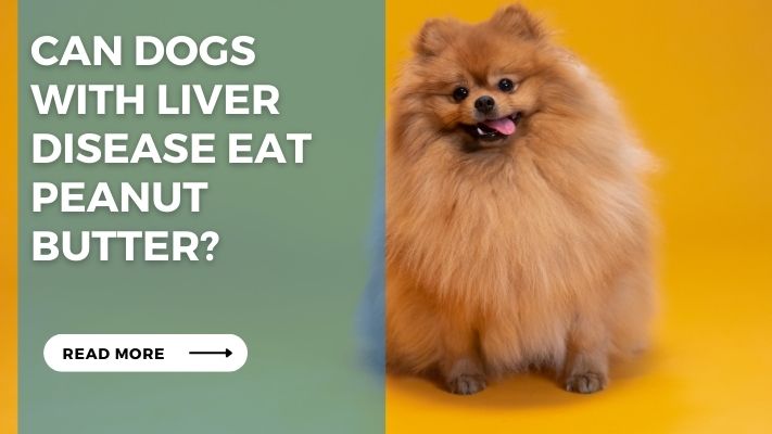 Can Dogs with Liver Disease Eat Peanut Butter