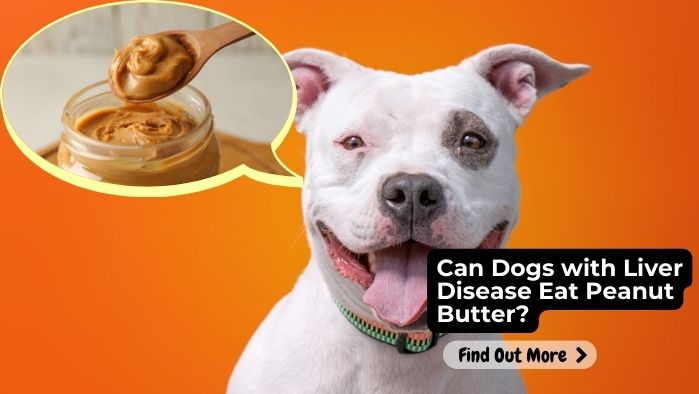 Can Dogs with Liver Disease Eat Peanut Butter