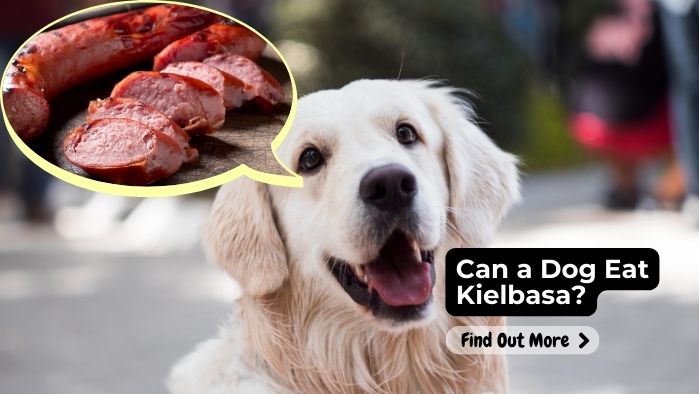 Can a Dog Eat Kielbasa