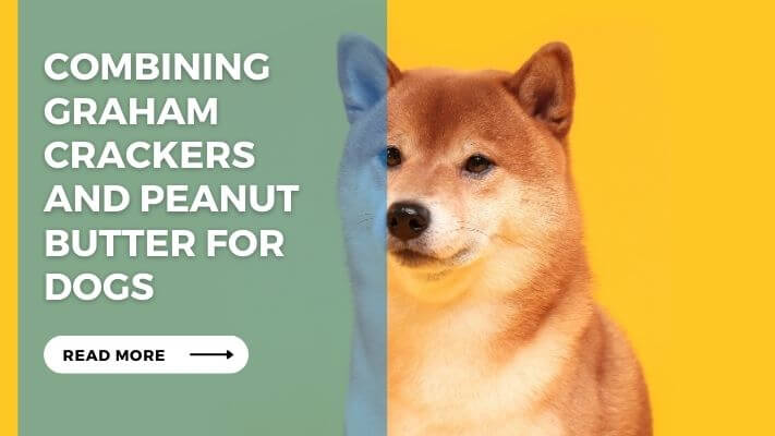 Combining Graham Crackers and Peanut Butter for Dogs