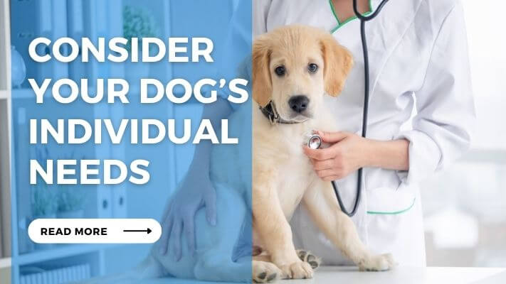 Consider Your Dog’s Individual Needs