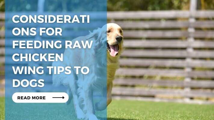 Considerations for Feeding Raw Chicken Wing Tips to Dogs