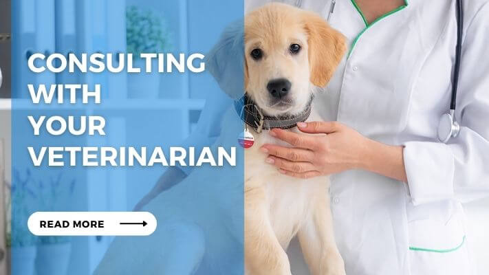 Consulting with Your Veterinarian