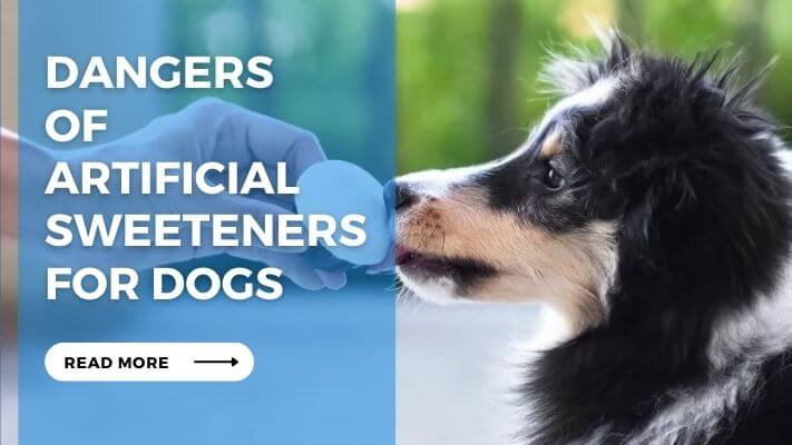 Dangers of Artificial Sweeteners for Dogs