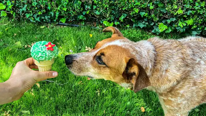 Can Dogs Eat Green Tea Ice Cream?