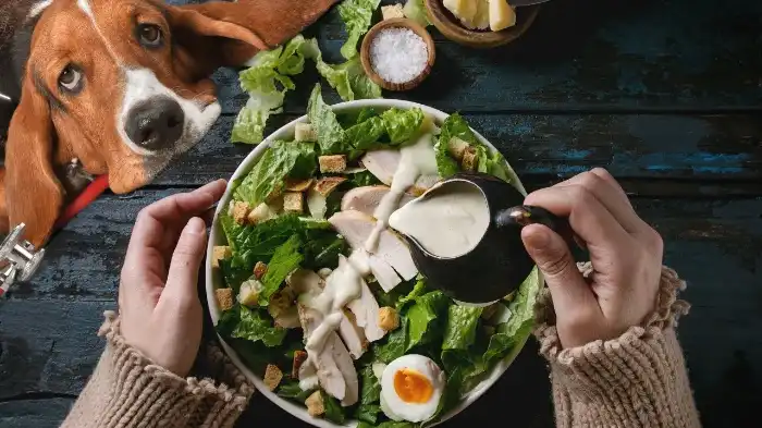 can-you-eat-caesar-dressing-pregnant-tasty-considerations