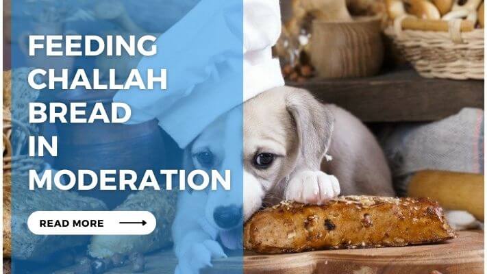 Feeding Challah Bread in Moderation