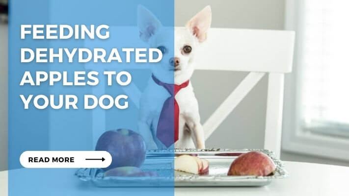 Feeding Dehydrated Apples to Your Dog