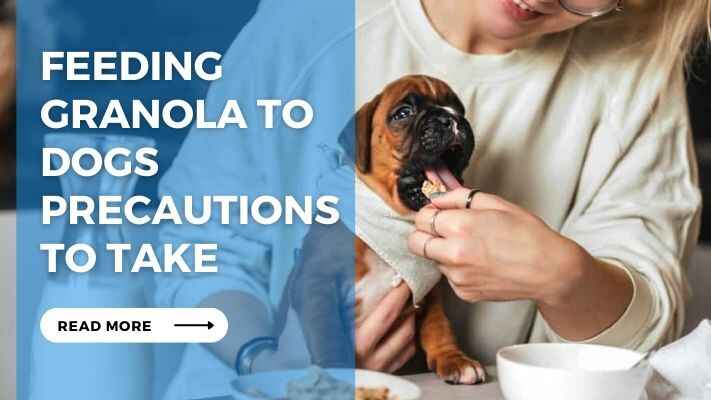 Feeding Granola to Dogs Precautions to Take