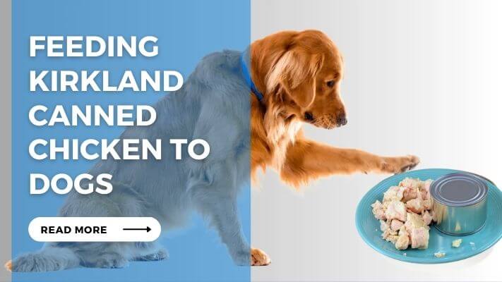 Feeding Kirkland Canned Chicken to Dogs