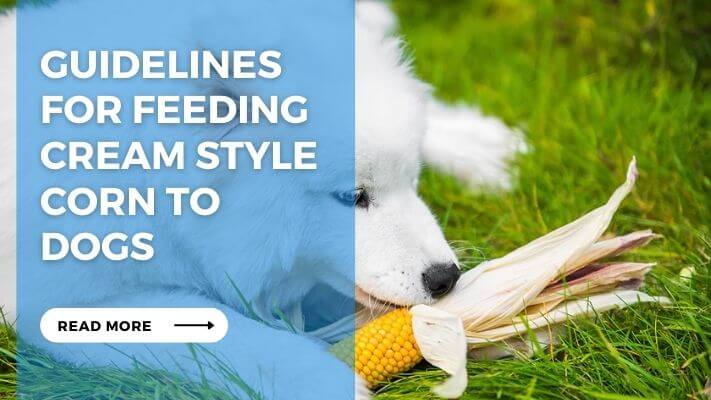 Guidelines for Feeding Cream Style Corn to Dogs