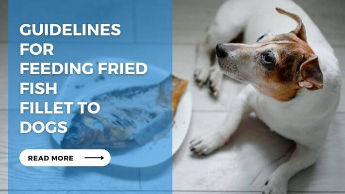 Guidelines for Feeding Fried Fish Fillet to Dogs