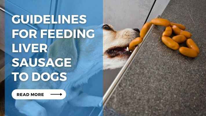 Guidelines for Feeding Liver Sausage to Dogs