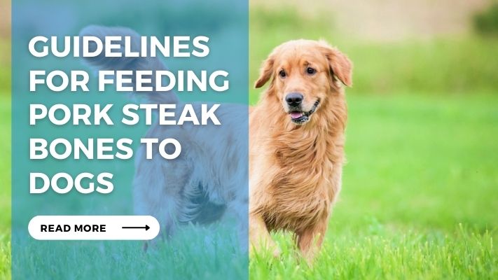 Guidelines for Feeding Pork Steak Bones to Dogs