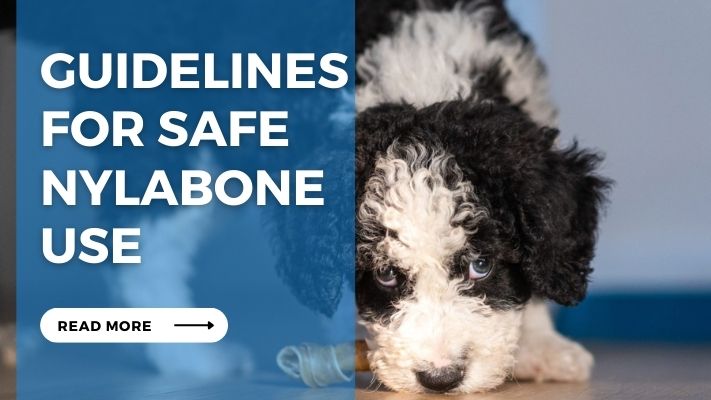 Guidelines for Safe Nylabone Use