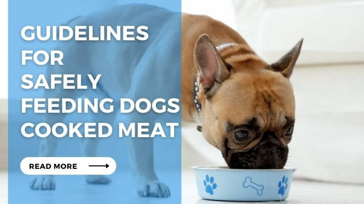 Guidelines for Safely Feeding Dogs Cooked Meat