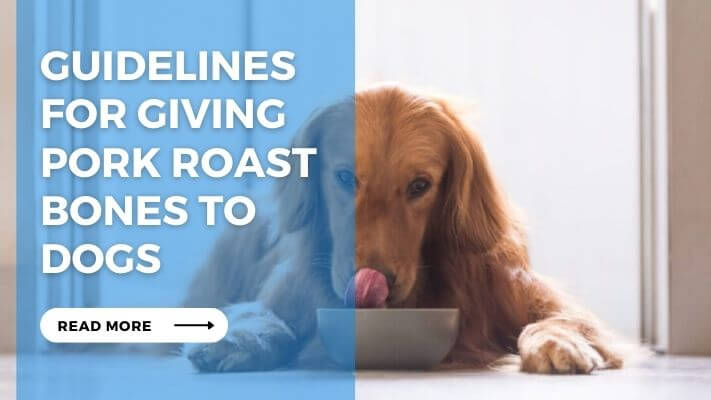 Guidelines for giving pork roast bones to dogs