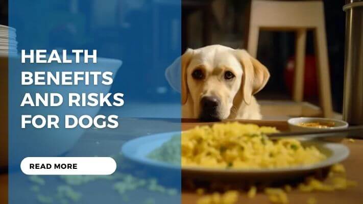 Health Benefits and Risks for Dogs