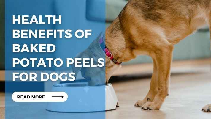 Health Benefits of Baked Potato Peels for Dogs