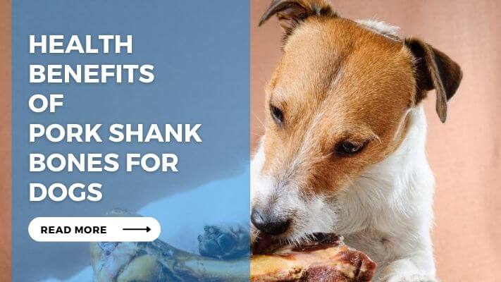 Health Benefits of Pork Shank Bones for Dogs