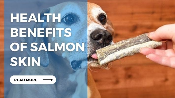 Health Benefits of Salmon Skin