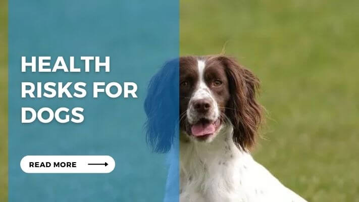 Health Risks for Dogs