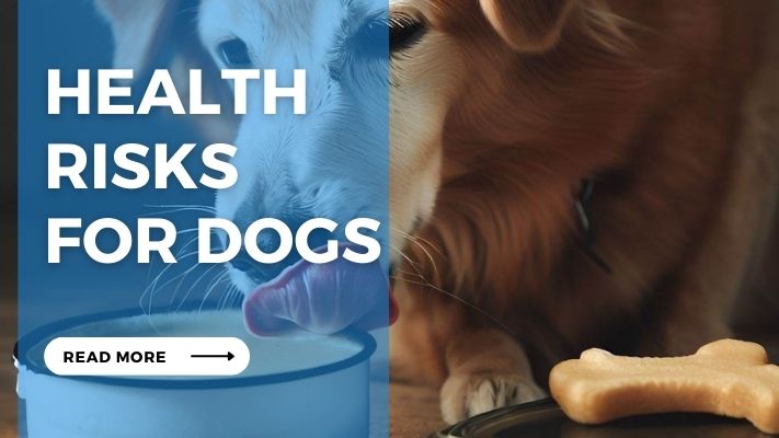 Health  Risks  for Dogs