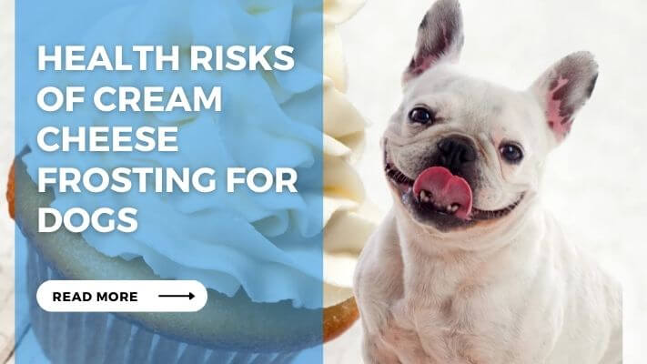 Health Risks of Cream Cheese Frosting for Dogs