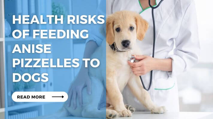 Health Risks of Feeding Anise Pizzelles to Dogs