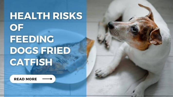 Health Risks of Feeding Dogs Fried Catfish