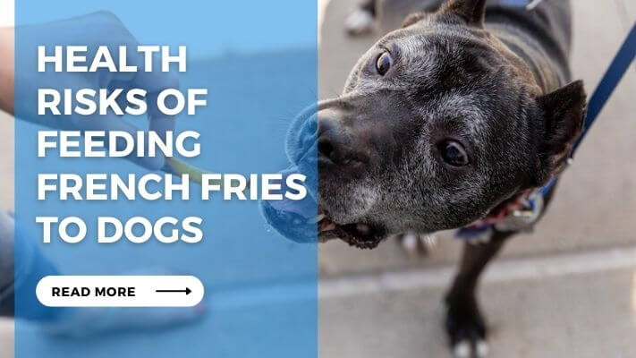 Health Risks of Feeding French Fries to Dogs