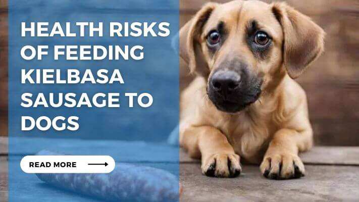 Health Risks  of Feeding Kielbasa Sausage to Dogs