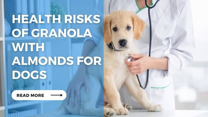 Health Risks of Granola with Almonds for Dogs