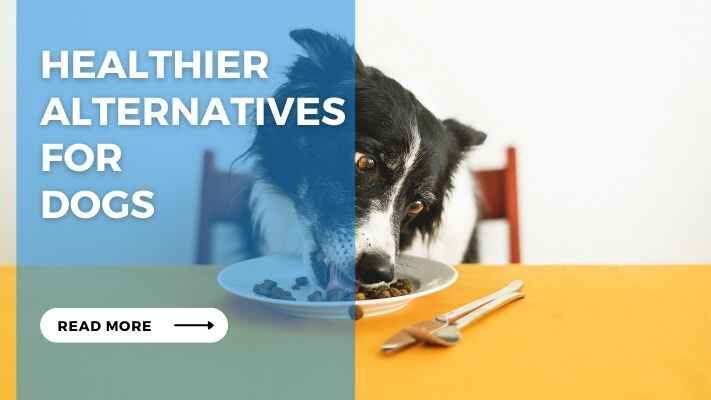 Healthier Alternatives for Dog