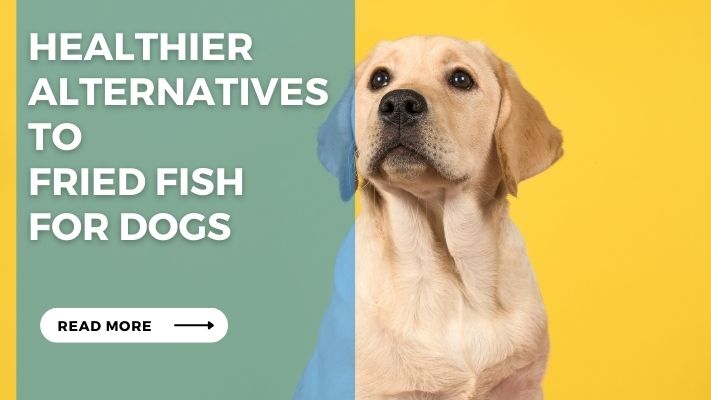 Healthier Alternatives to Fried Fish for Dogs