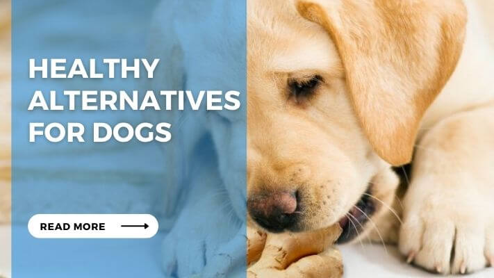 Healthy Alternatives for Dogs