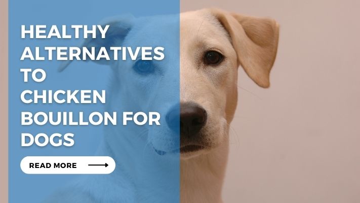 Healthy Alternatives to Chicken Bouillon for Dogs