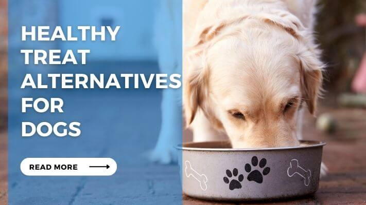 Healthy Treat Alternatives for Dogs