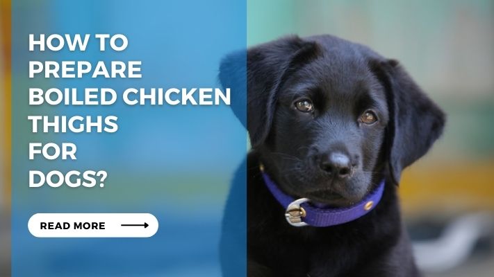 How to Prepare Boiled Chicken Thighs for Dogs?